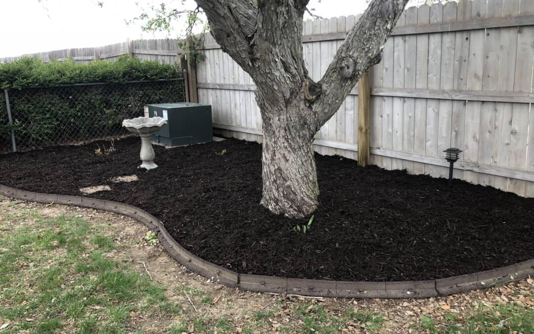 Ways to Make Your Landscape the Place to be This Year!