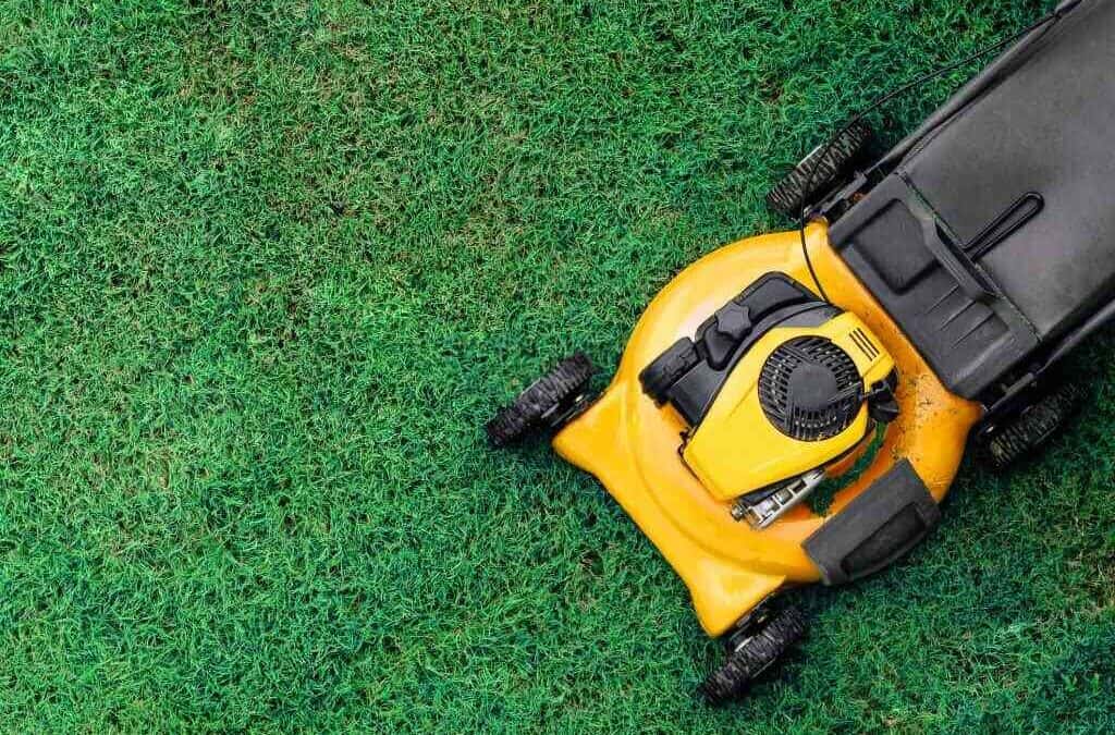 Must Have Lawn Care Services This Spring!