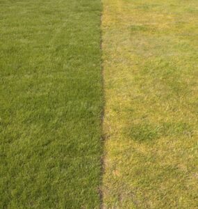 fertilizer in Freemont, NE