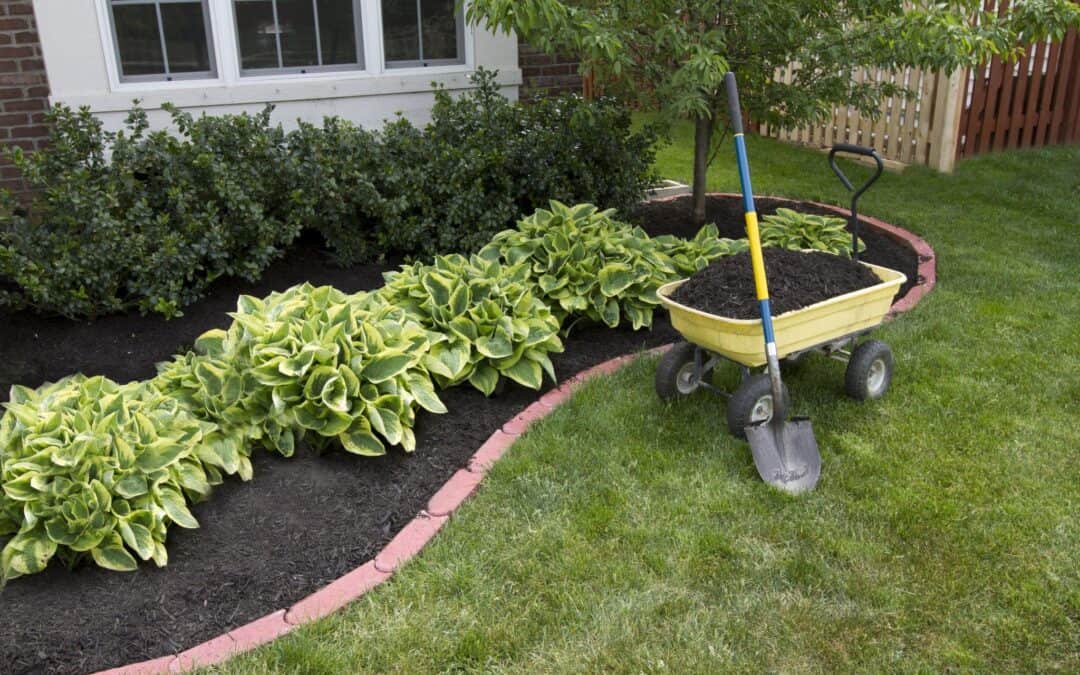 Landscaping: Last Call for Installs!