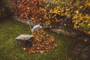 fall cleanup in Freemont, NE