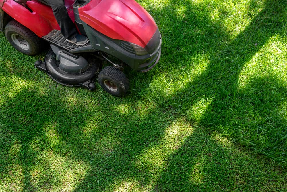 Mower mowing a lawn